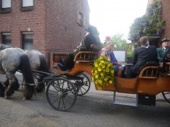 P1000413 - Kopie.jpg